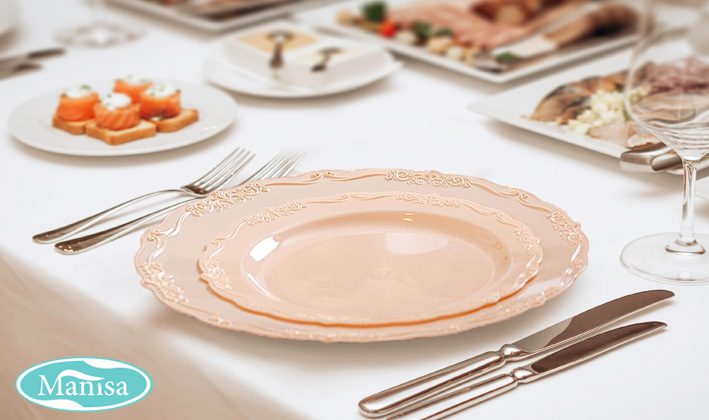 استفاده از ظروف یکبار مصرف شیک برای مهمانی ها